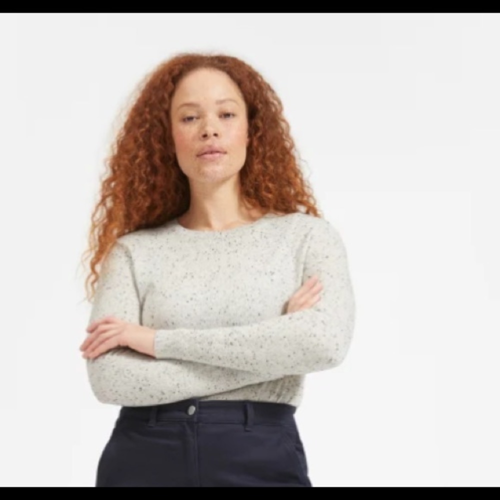 Everlane Cashmere Crew Frost Donegal Small